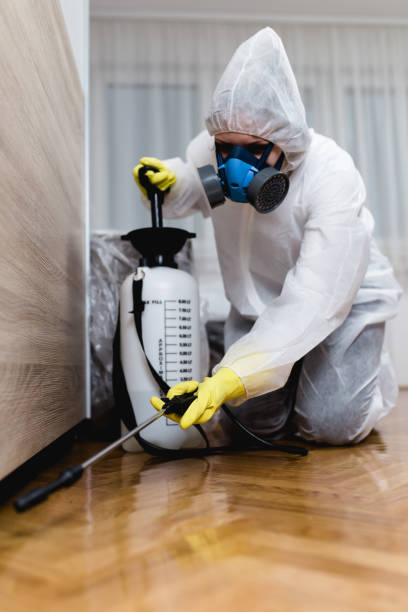 Best Bed Bug Extermination  in Dellwood, MN